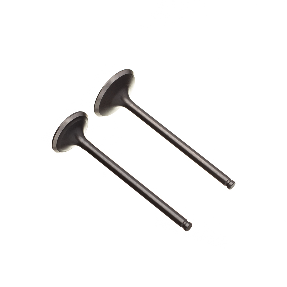 VALVULA ADM/ESC PAR XRE 190 WW3