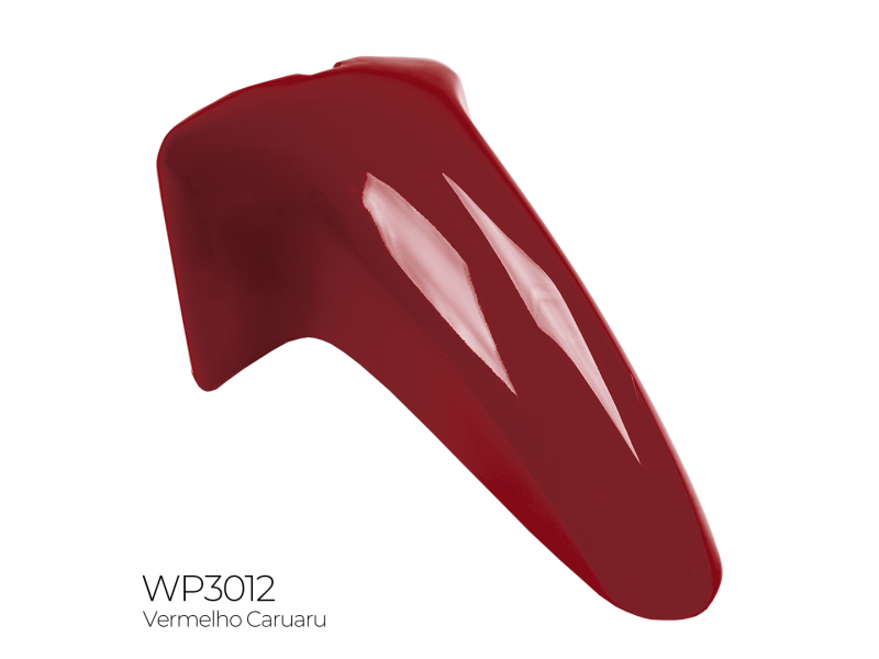 PARALAMA DIANTEIRO BIZ 125 2005-2006 VERMELHO CARUARU