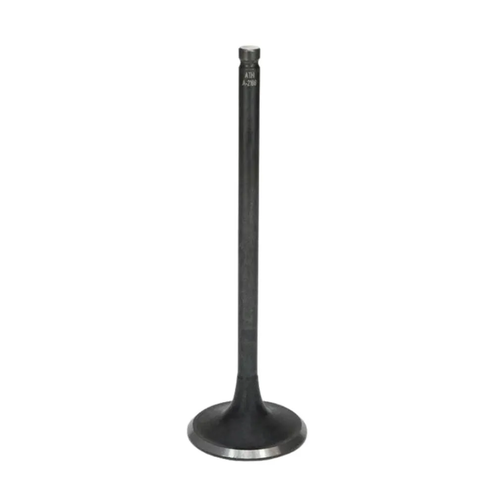VALVULA ADMISSAO CG FAN 125 2009-2021 NXR 125