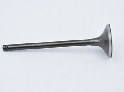 VALVULA ADMISSAO TITAN CX 20/500